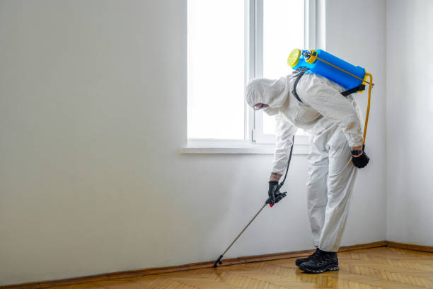 Flea Control Services in Bratenahl, OH