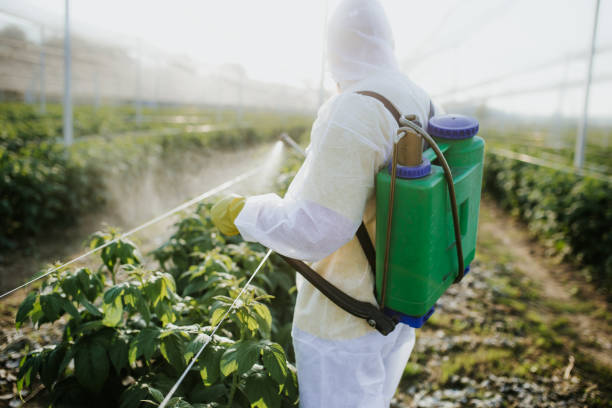 Reliable Bratenahl, OH Pest Control Solutions